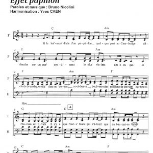 EFFET PAPILLON
