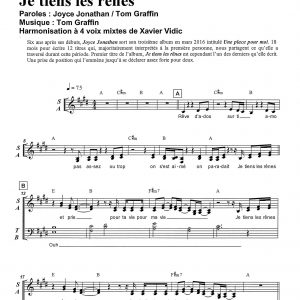 JE TIENS LES RENES