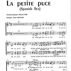 PETITE PUCE (LA)