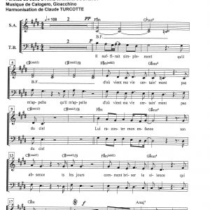 SI SEULEMENT JE POUVAIS LUI MANQUER